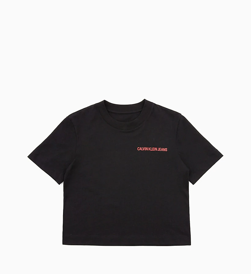 calvin klein rainbow shirt