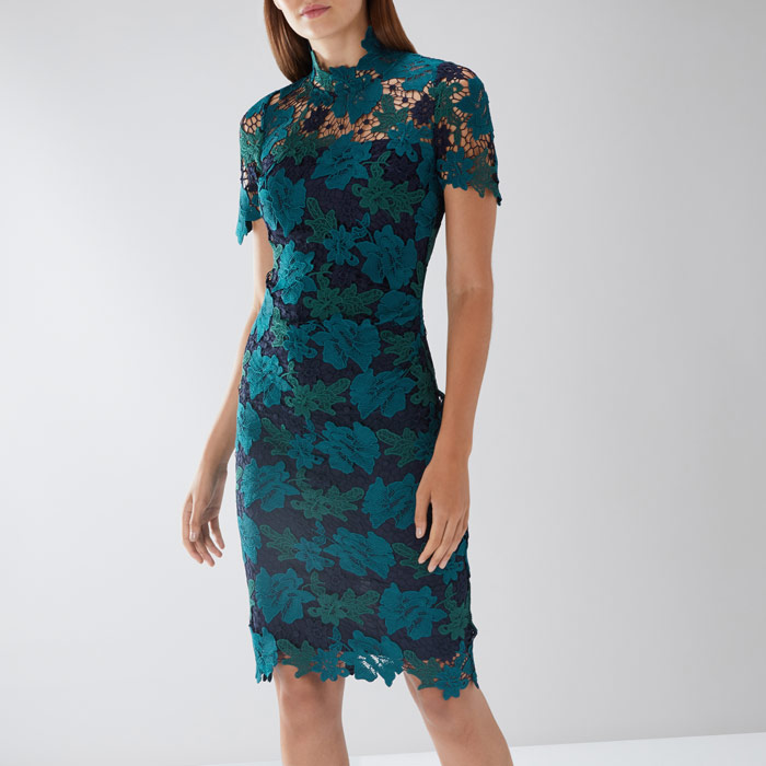 coast charlotte lace dress