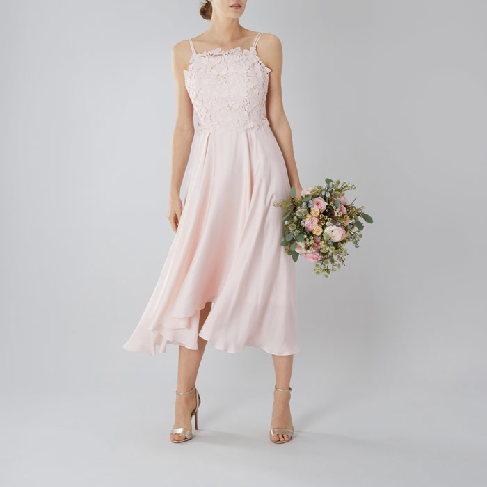 coast janie lace midi dress