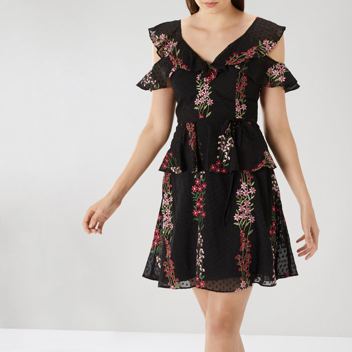 coast embroidered dress