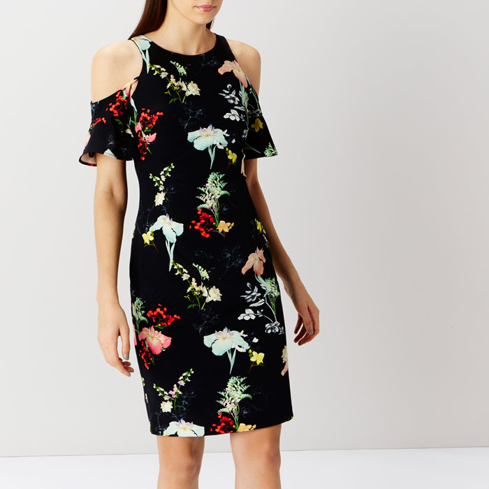 coast cold shoulder dress