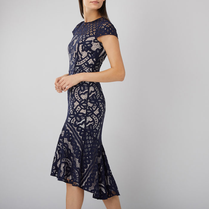 coast dee dee lace dress