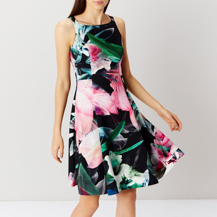 coast fit and flare dress